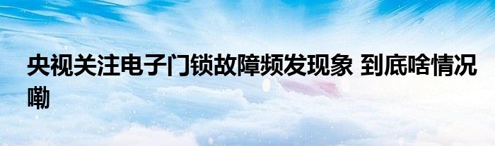 开元体育·(中国)官方网站央视关注电子门锁故障频发现象 到底啥情况嘞(图1)