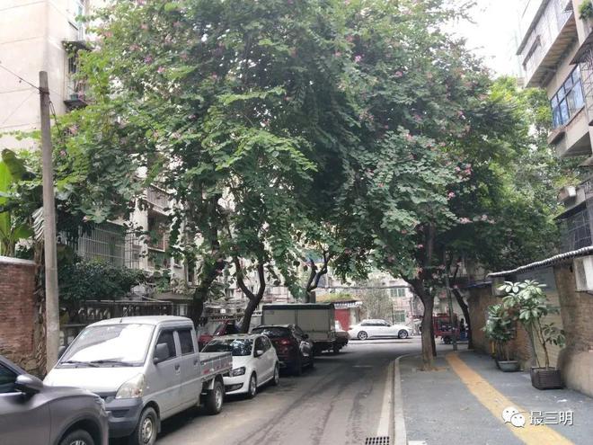 开元体育·(中国)官方网站三明这里要征迁啦！就在市中心！补偿