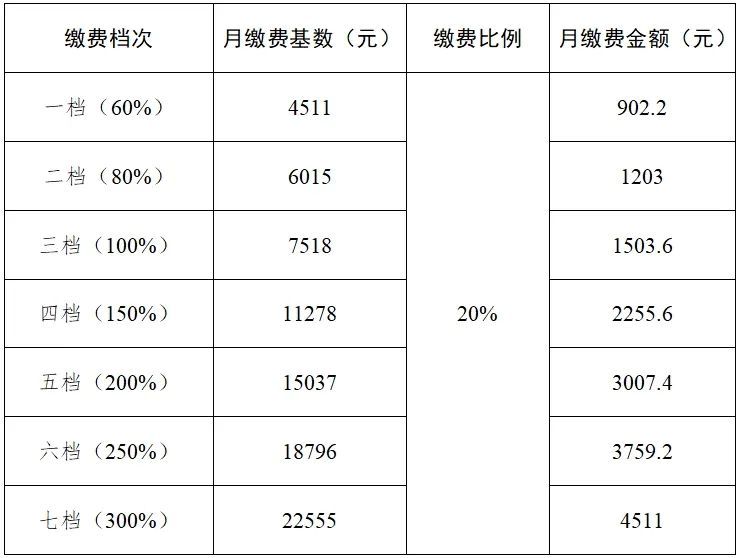 开元体育·(中国)官方网站2025成都最新社保缴费标准出炉(图2)